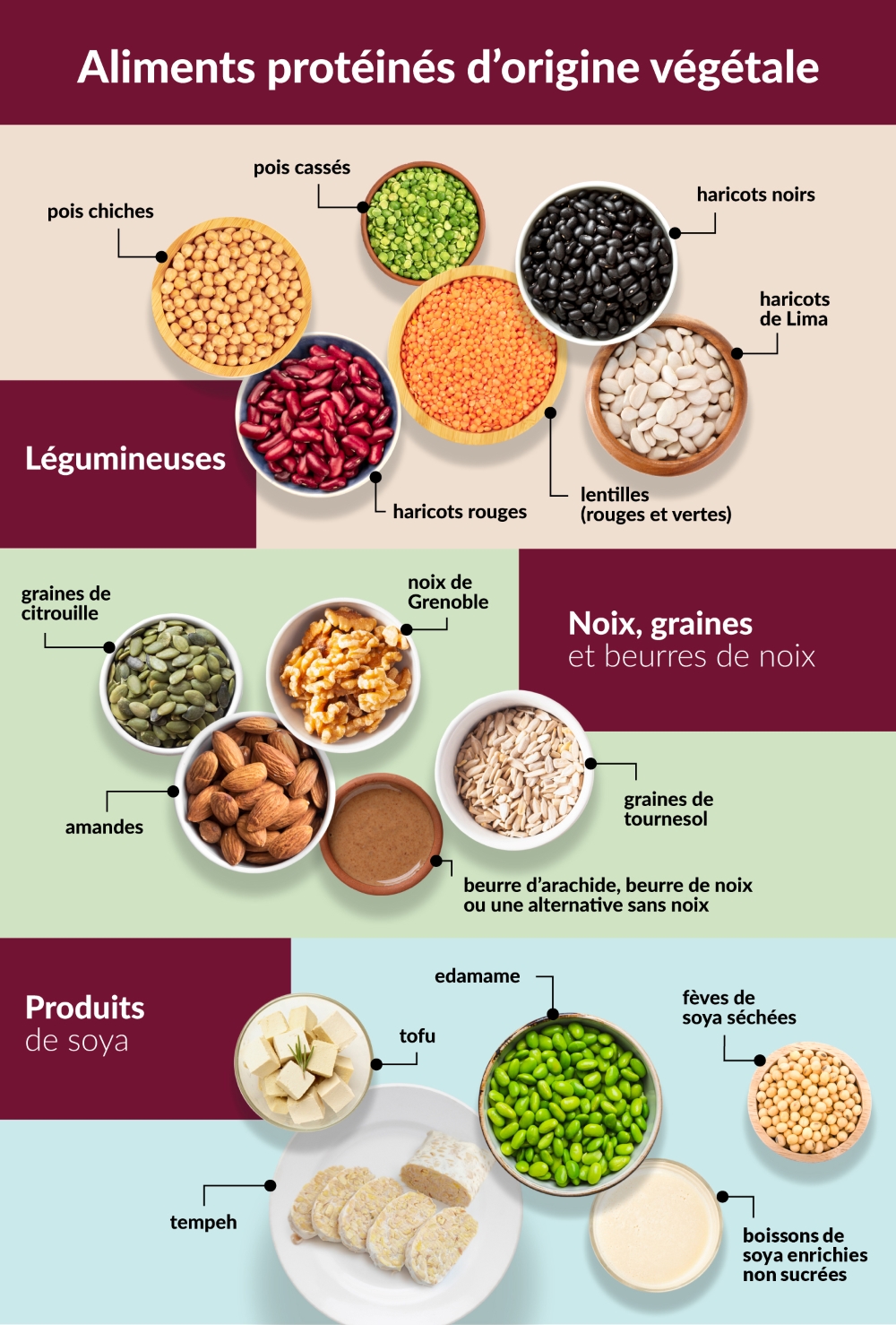 Cuisiner avec des aliments protéinés d'origine végétale - Guide alimentaire  canadien