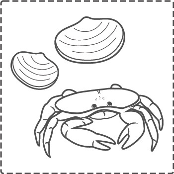 mollusques et crustacés