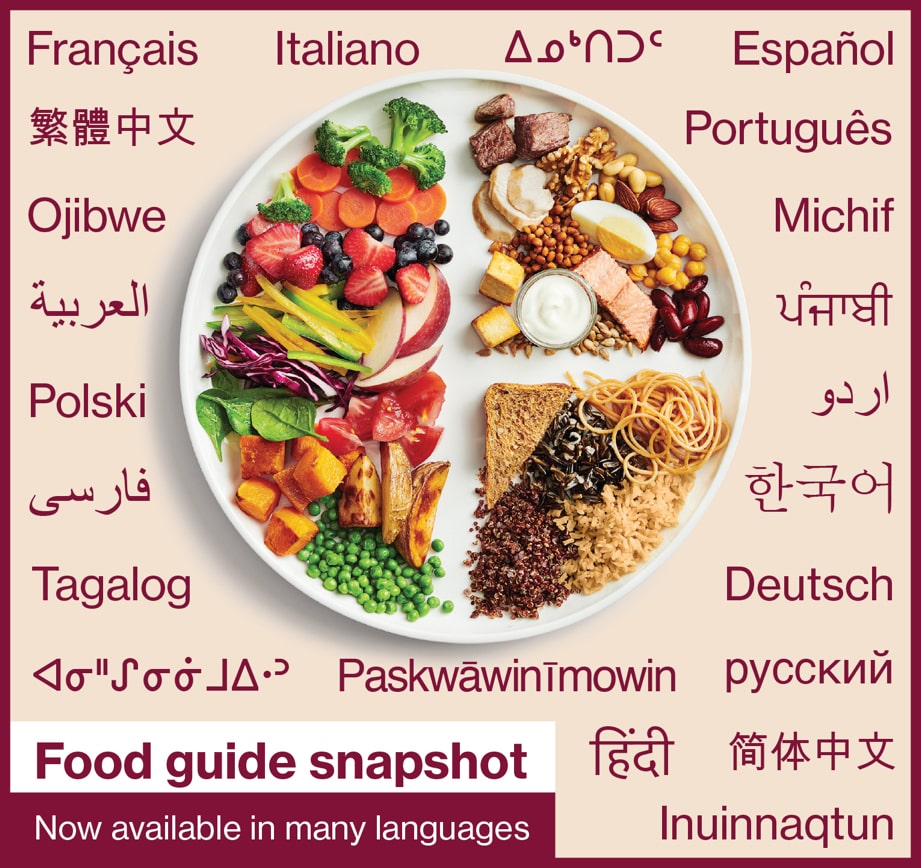 Food guide snapshot - Now available in many languages