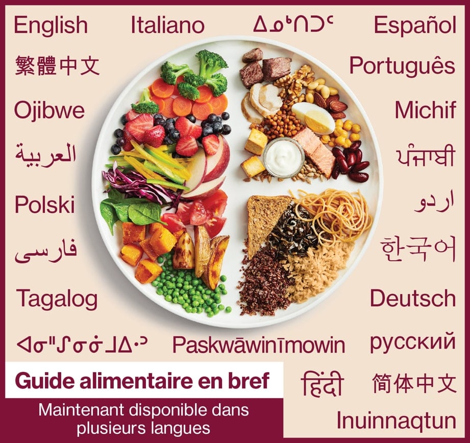 Guide alimentaire en bref - Maintenant disponible dans plusieurs langues